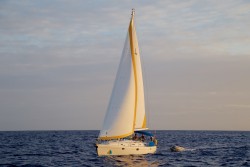 Antigua Day Sailing