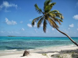 Caribbean Sailing Vacations